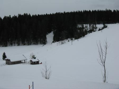 wir-skialpin55