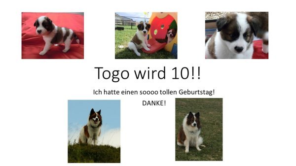 togo-wird-10-folie01